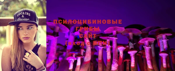 прущие крисы Богородицк
