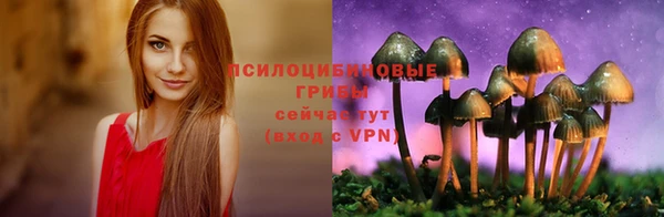 прущие грибы Беломорск