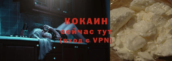 твердый Инта