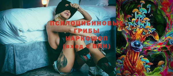 прущие крисы Богородицк