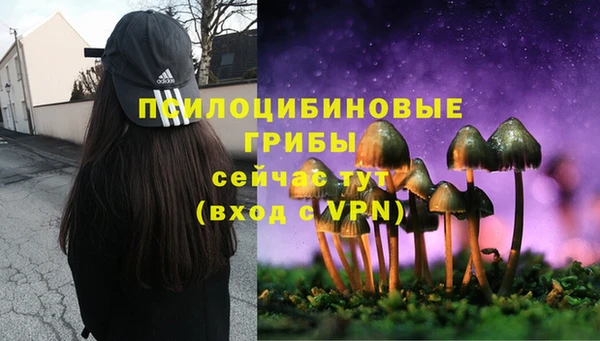 прущие крисы Богородицк