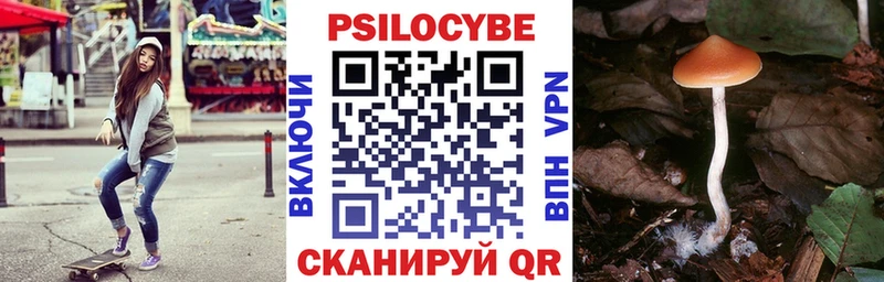 KRAKEN рабочий сайт маркетплейс формула Галлюциногенные грибы прущие грибы Дедовск